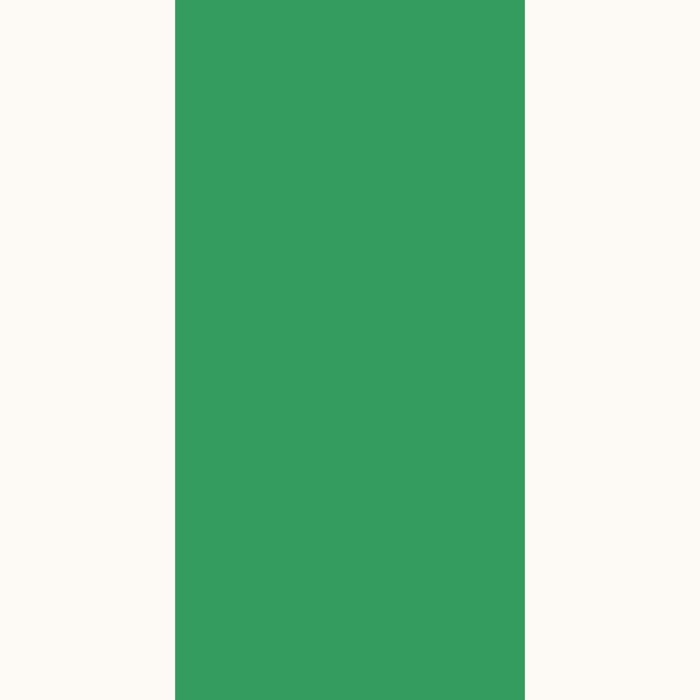 Kelly Green Striped Top main image 1