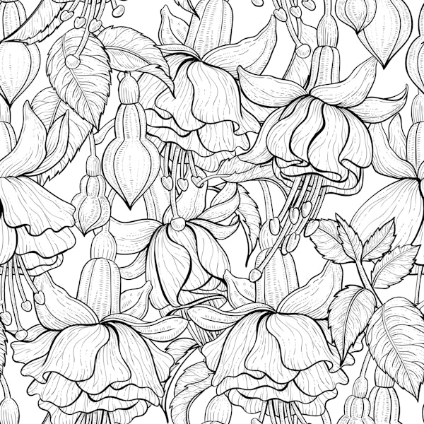 Fuchsia in black and white