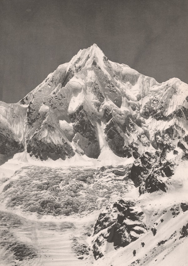 IX - Mountain - ASTER