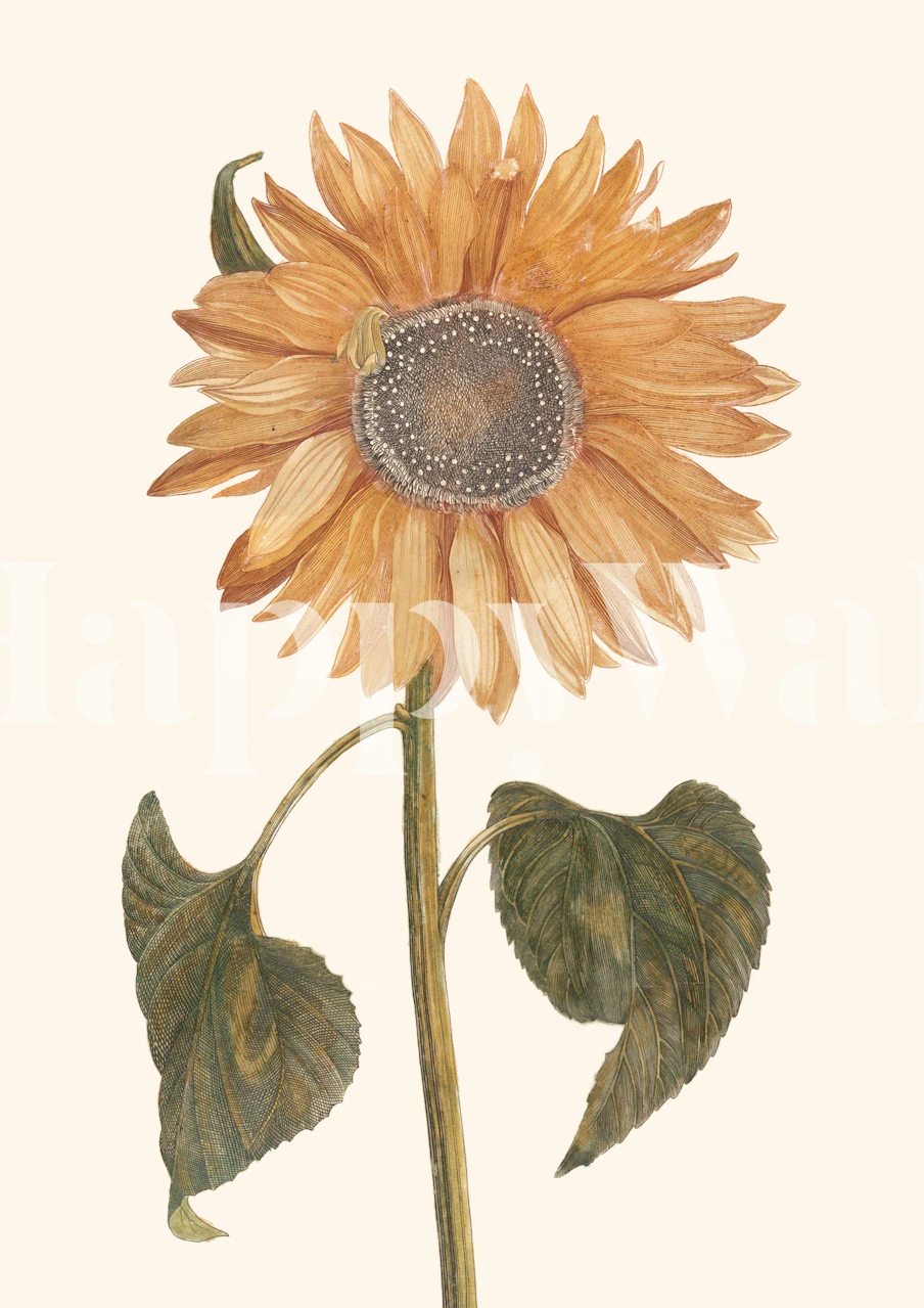 Vintage sunflower flower illustration in soft colors wallpaper