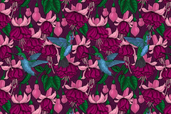 Hummingbird garden 1