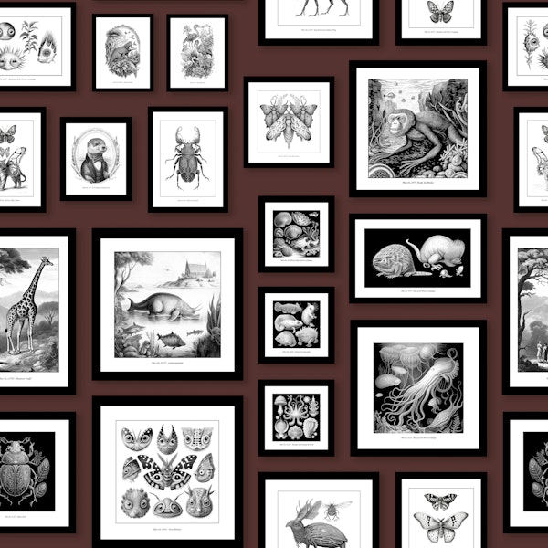 Fantastic Creatures - RedMadder