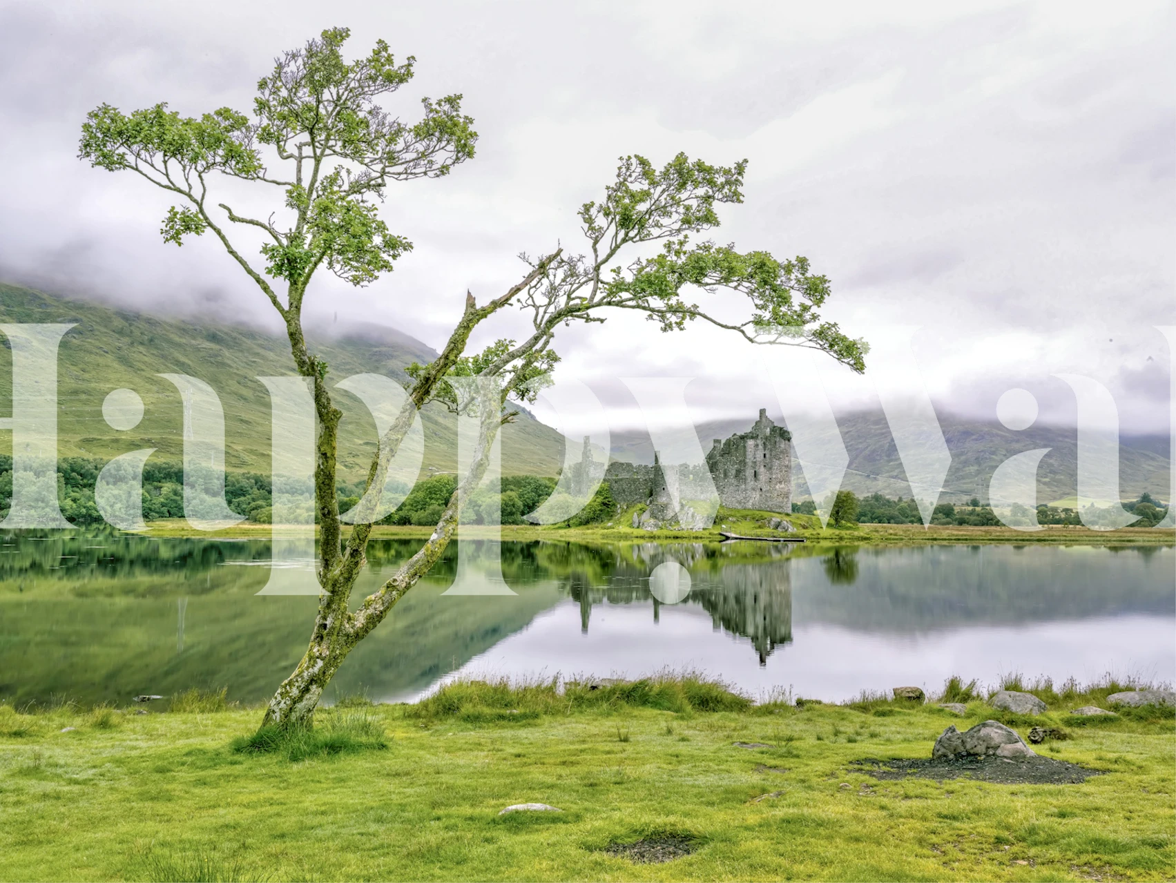 Kilchurn Castle wallpaper in a room