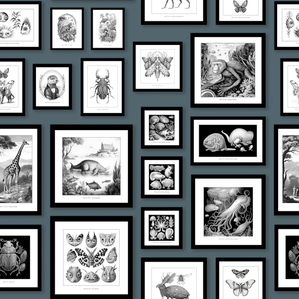 Fantastic Creatures - Storm Blue