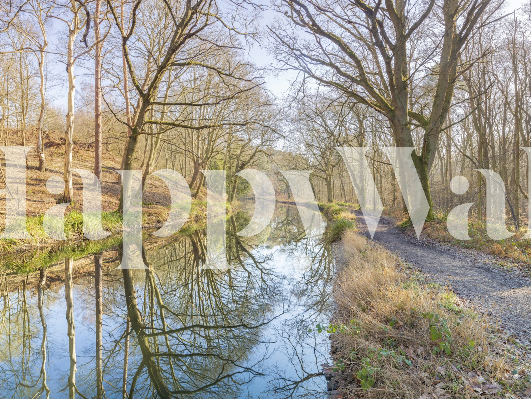 Tranquil stream wallpaper design in a room