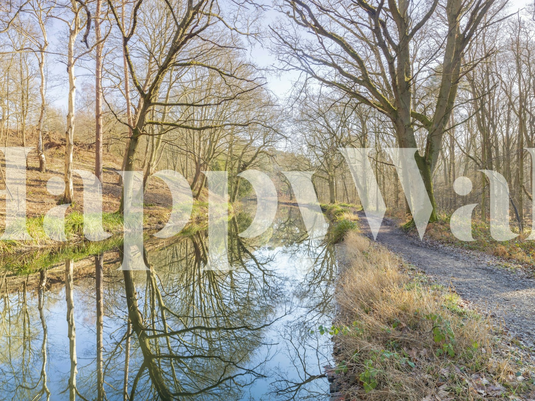 Tranquil stream wallpaper design in a room