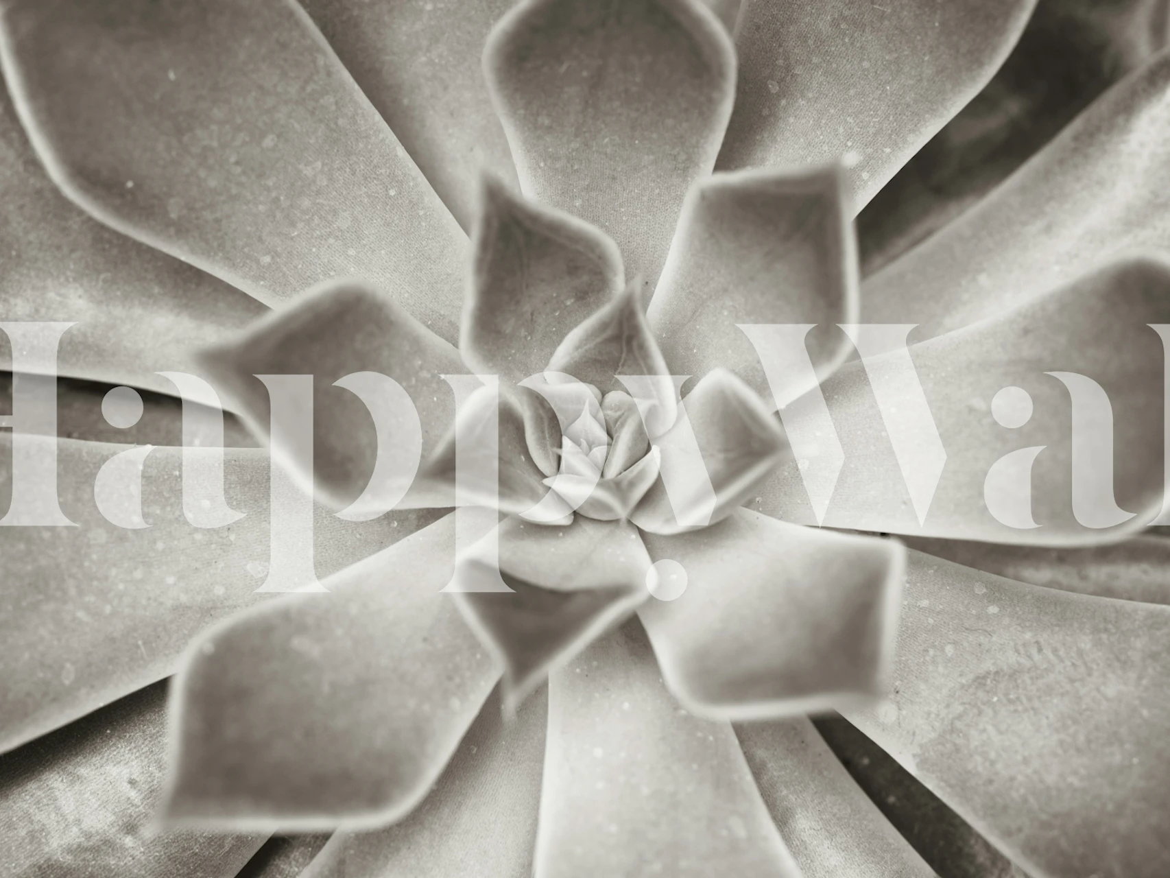 Design della carta da parati Succulent Sensation in una stanza