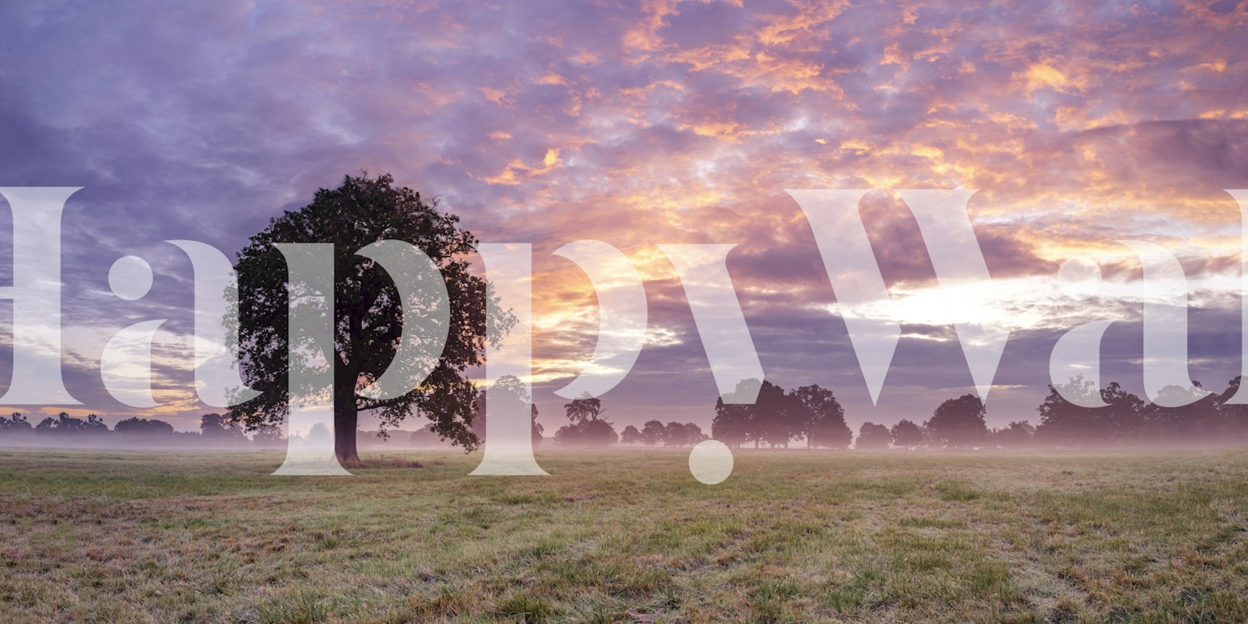 Daybreak Serenity wallpaper in a room