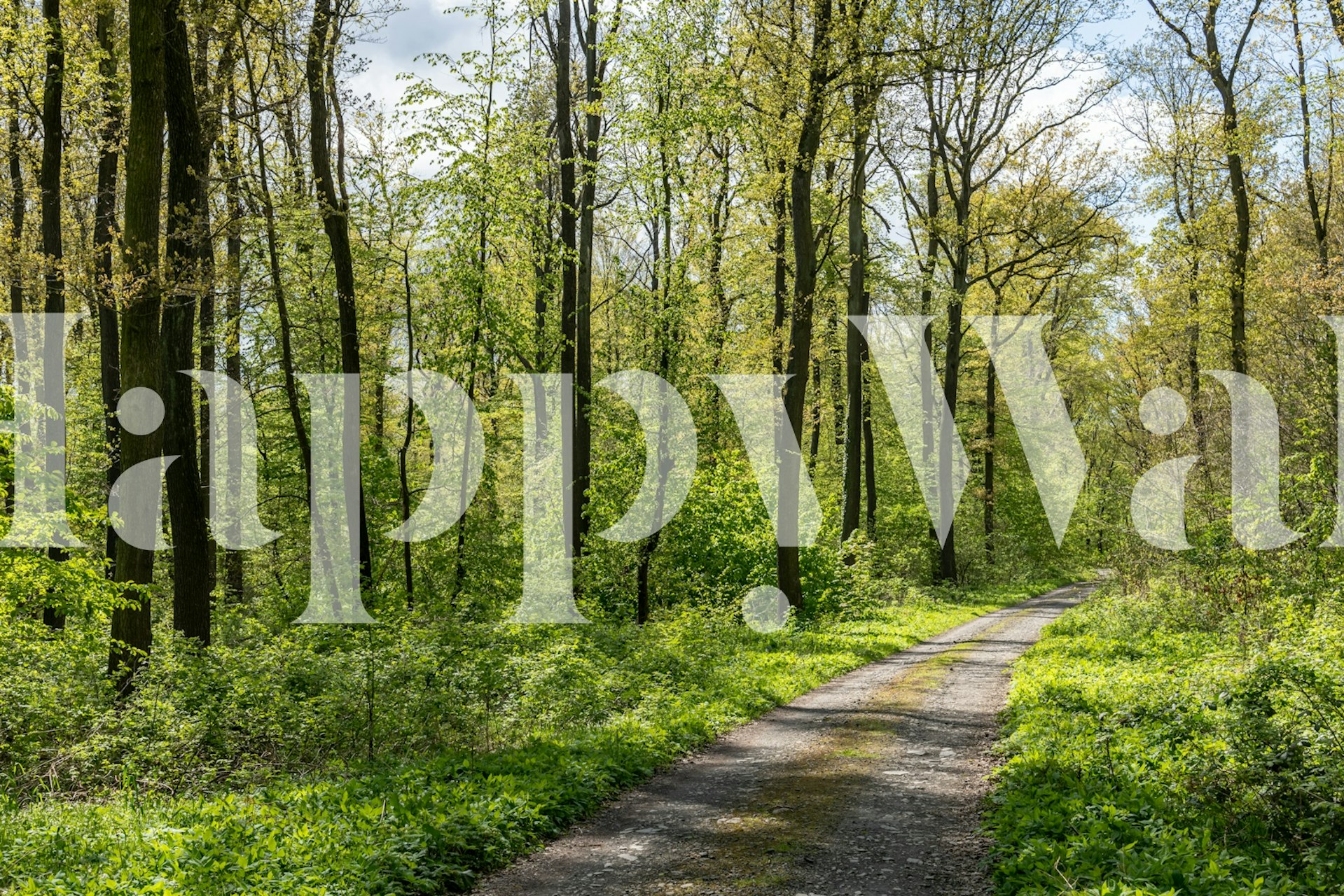 Papel pintado Spring Blossom Grove en una habitación
