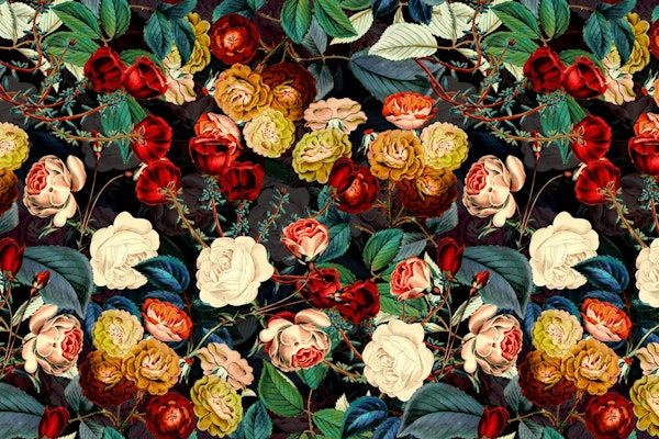 Night Botanical Forest