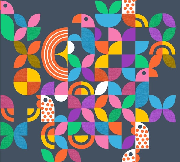 Geometry in Nature- Find the Avians