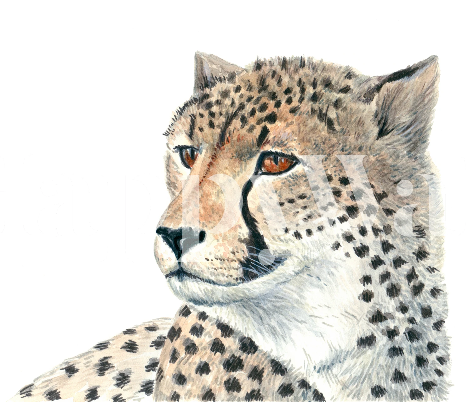 Cheetah wallpaper in a room setting