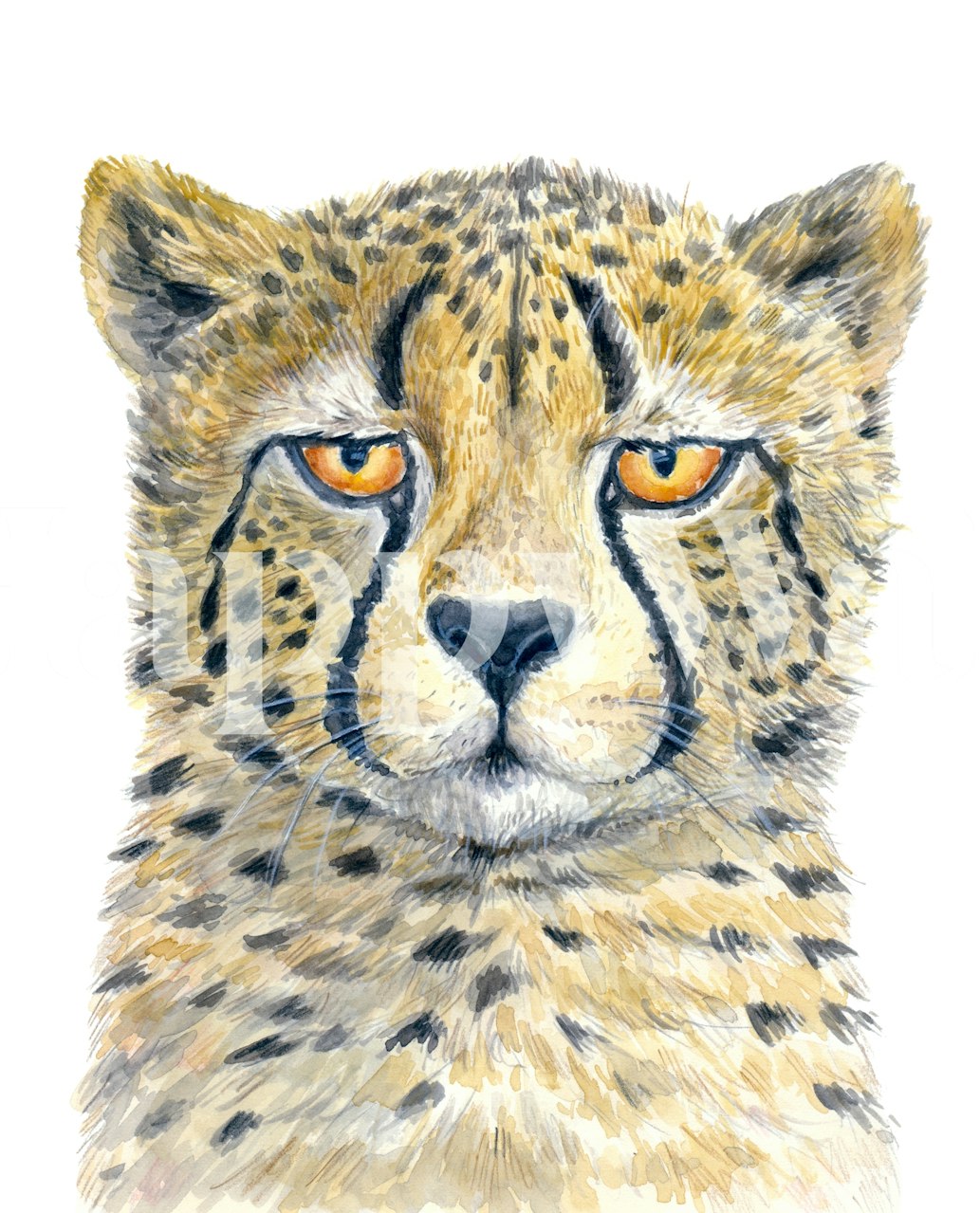 Σχέδιο ταπετσαρίας Cheetah 2 σε ένα δωμάτιο