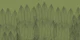 Luxury Palms Green
