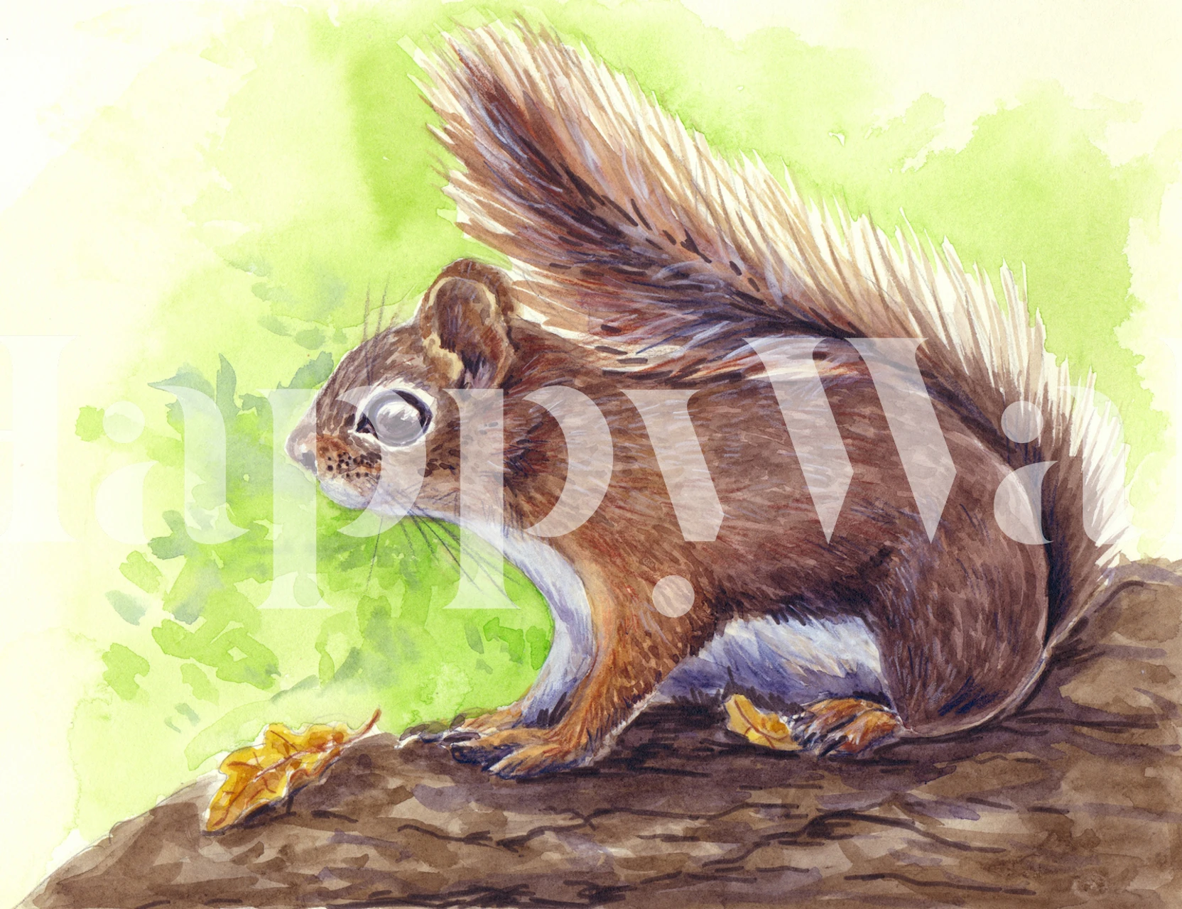 Squirrel tapet i et livligt rum