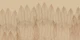 Luxury Palms Beige