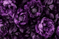 Midnight Garden Baroque Blooms Plum Blue ταπετσαρία
