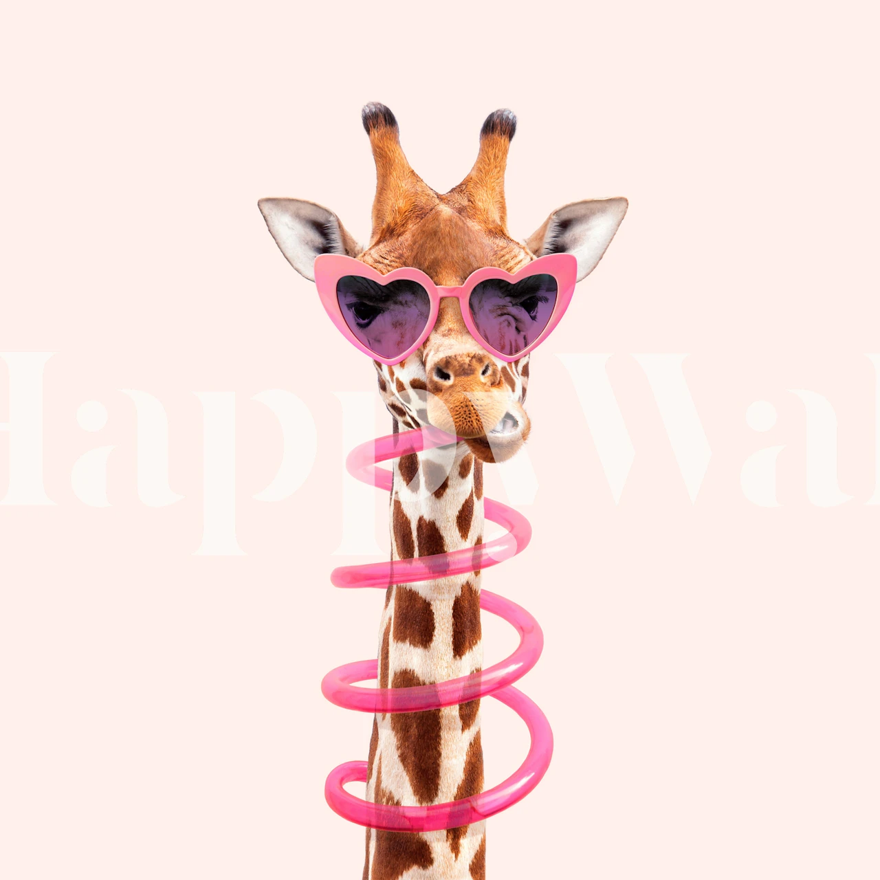 Giraffe wearing heart-shaped sunglasses with pink spiral decoration wallpaper