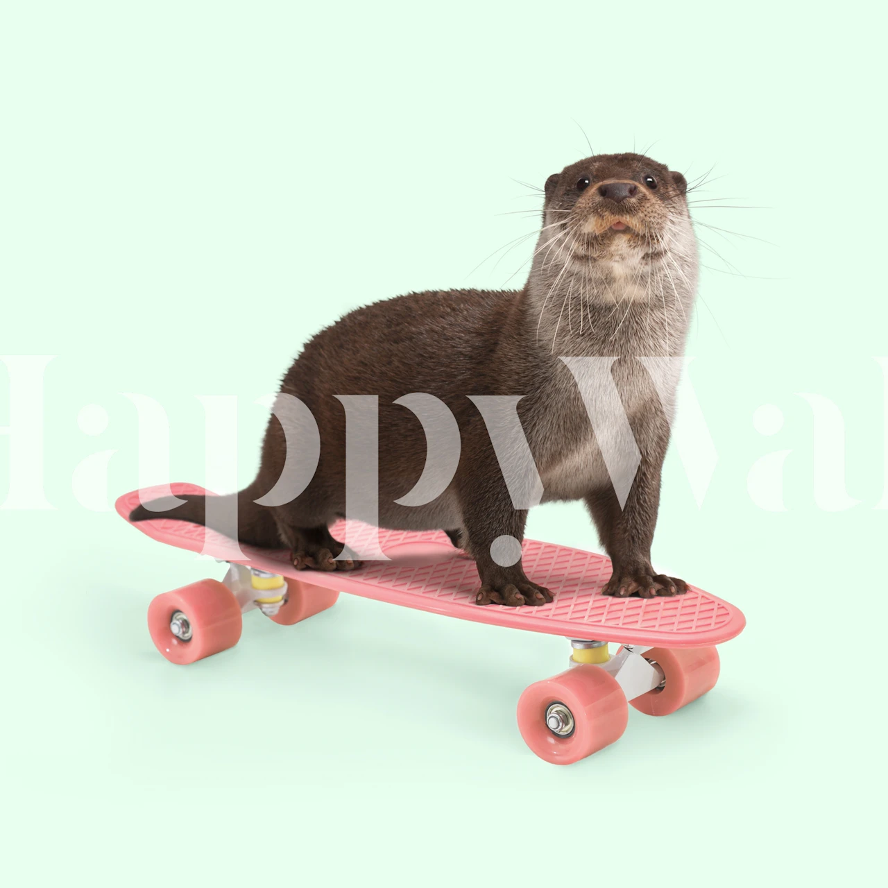 Otter on a pink skateboard against a mint green background wallpaper