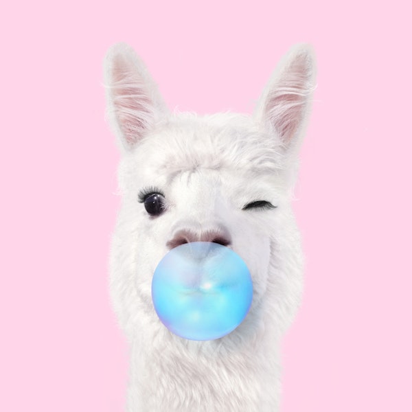 Llama Bubbelgum
