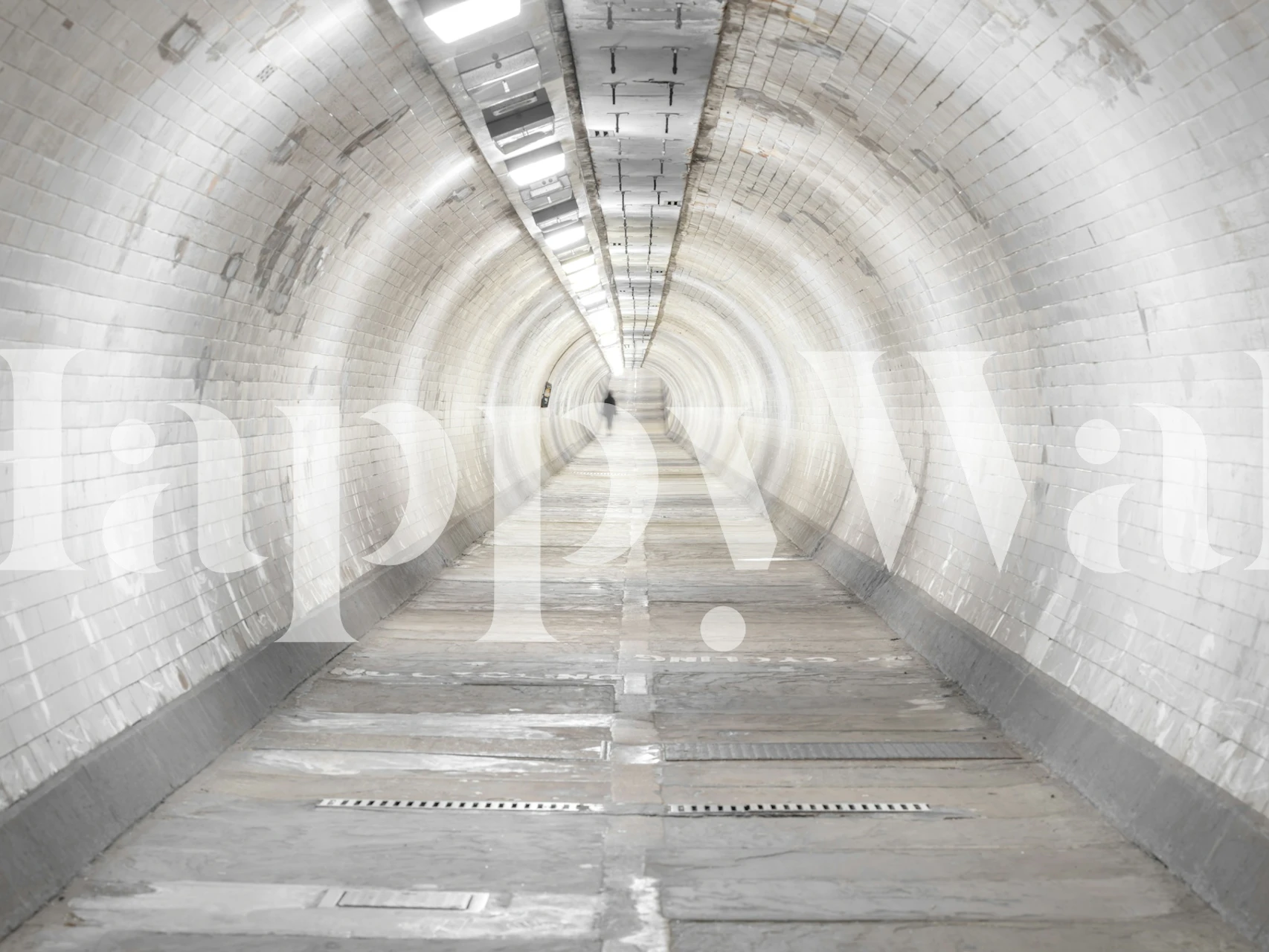 Monochrome tunnel wall mural with a perspective of depth and mystery