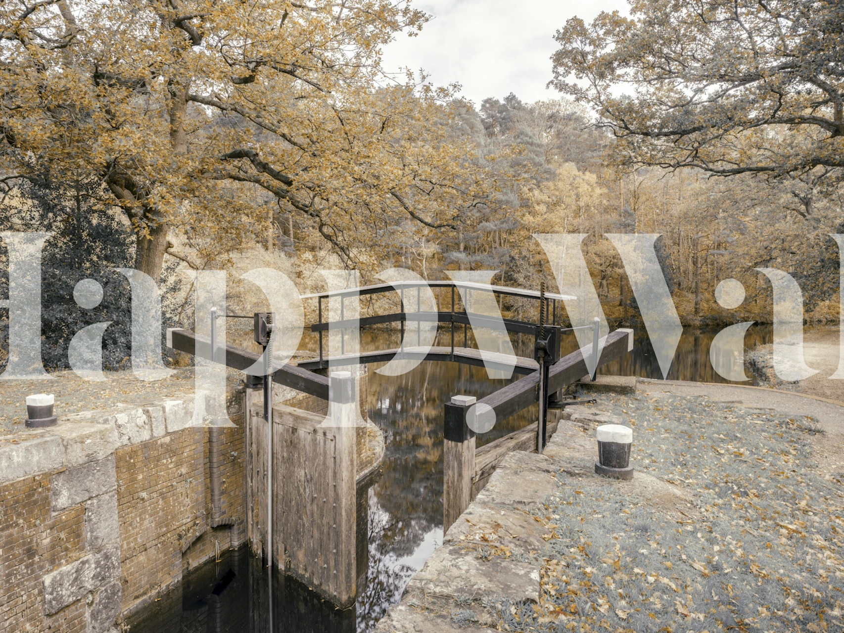 Wallpaper design of a canal with autumn trees