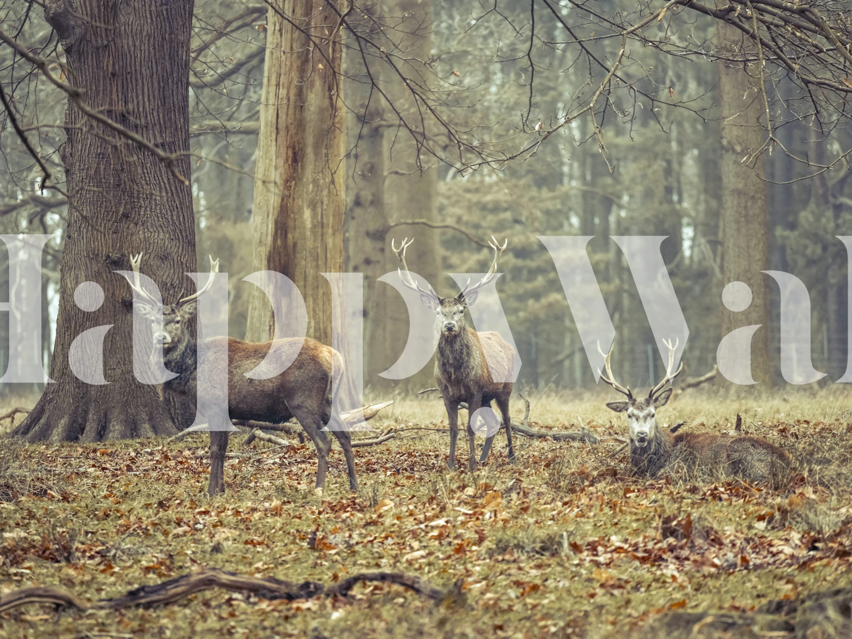 A tranquil wall mural of deer among forest trees in a misty woodland setting.