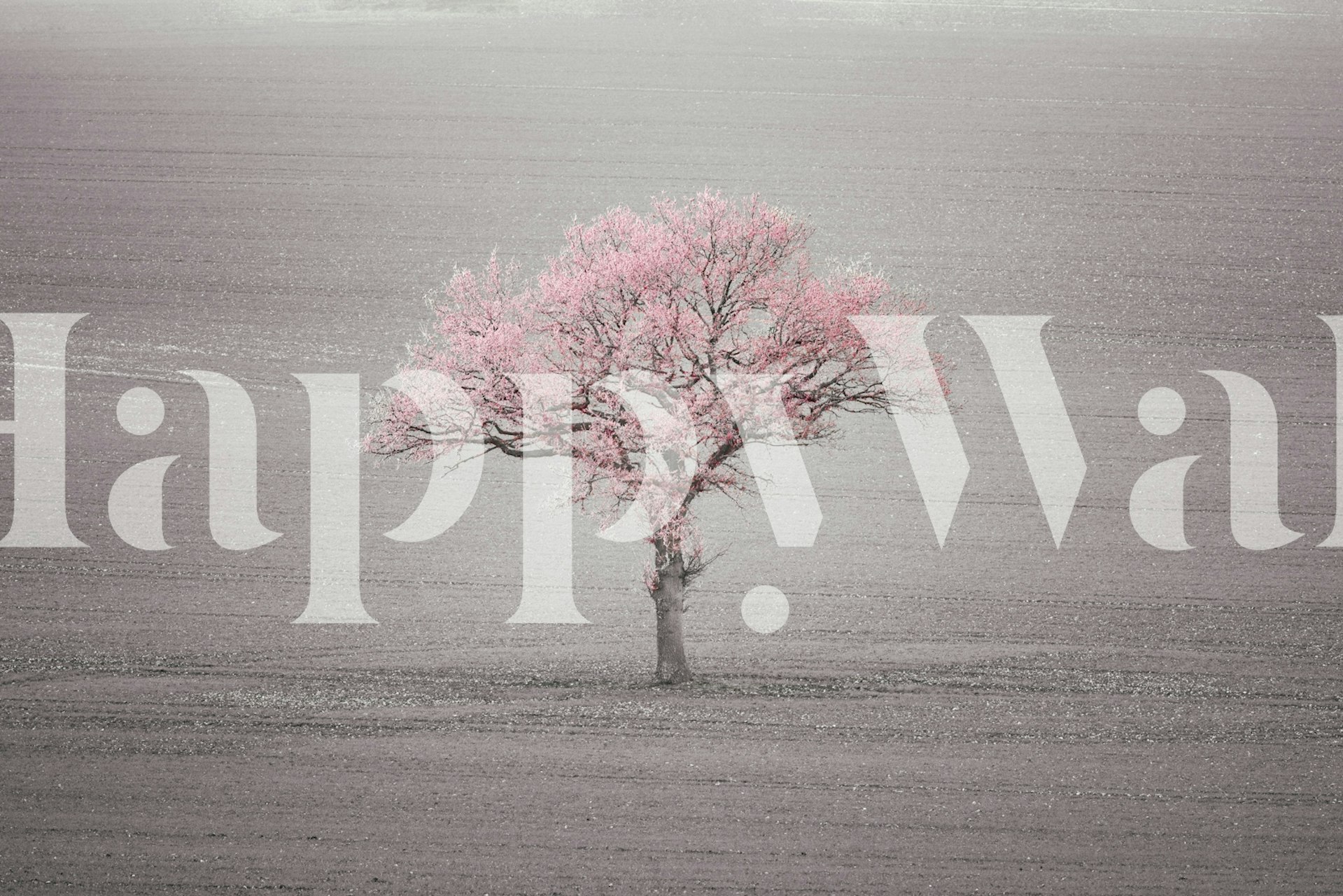 Solitary pink tree on gray field wallpaper