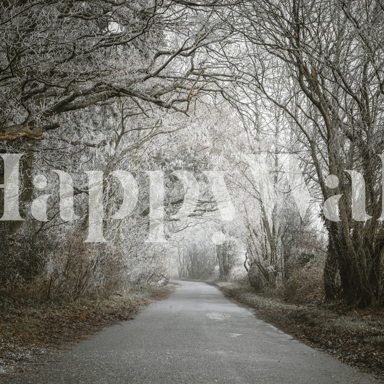 Frozen Journey wallpaper in a room setting