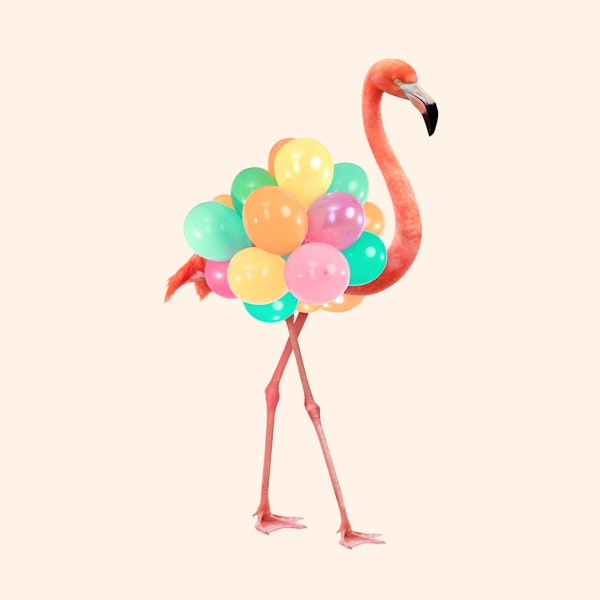 Flamingo Balloons