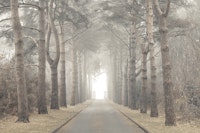 Ethereal Realm tapete