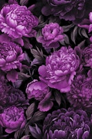 Moody Baroque Velveteen Flowers Pink Purple ταπετσαρία