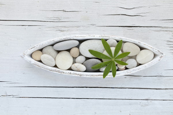 Zen Style Pebble Still Life With Leaf