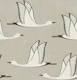 Flying birds - beige background