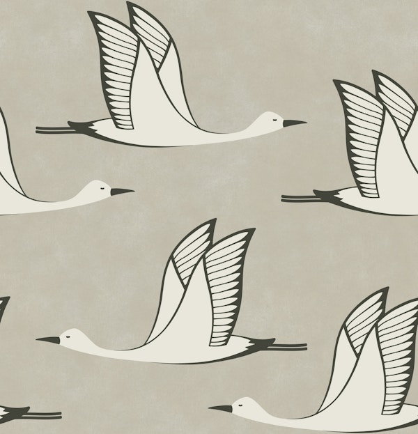 Flying birds - beige background