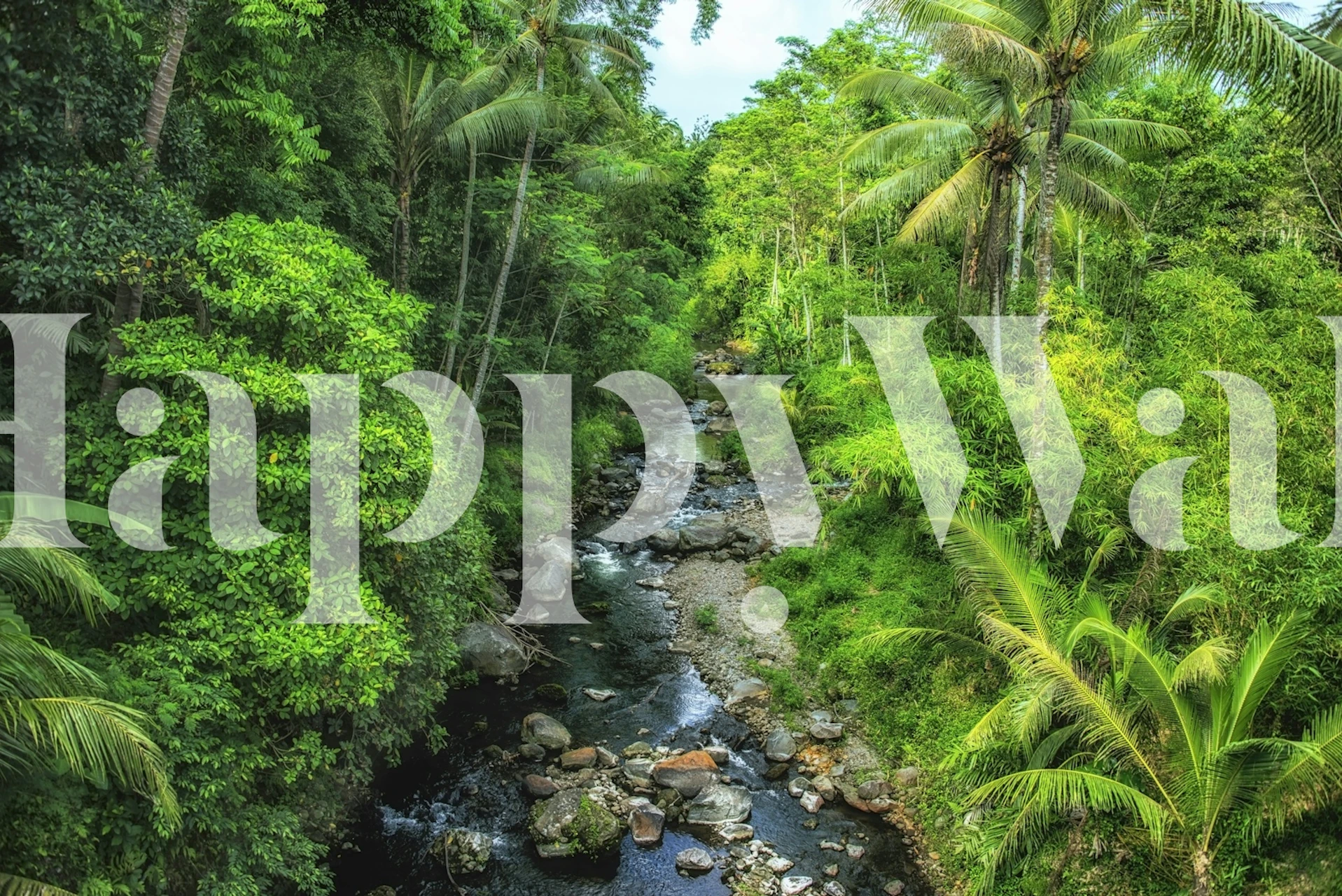 Lush green rainforest scene with palm trees and water wallpaper