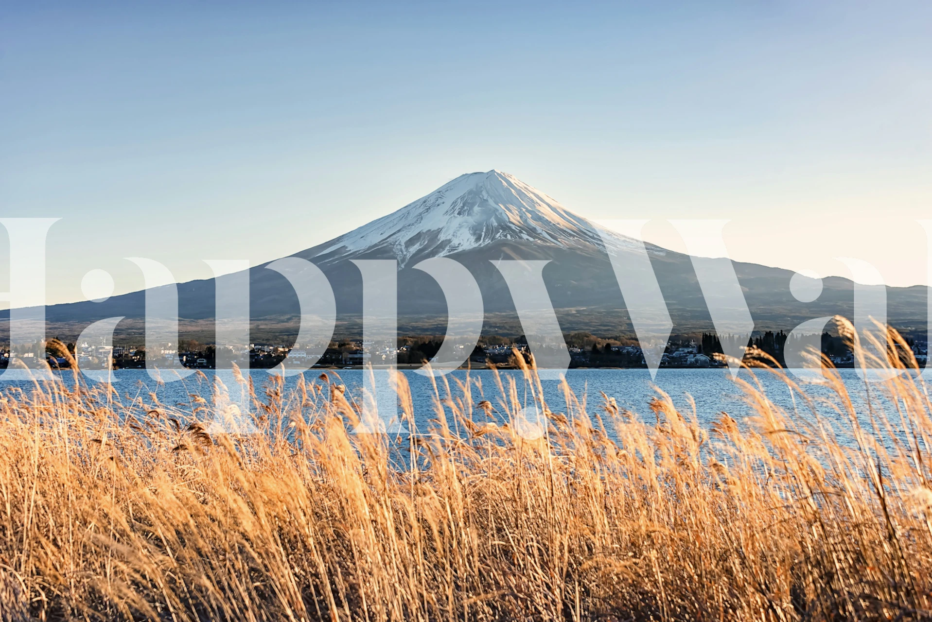 Fuji View wallpaper in a modern interior