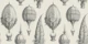 Fanciful Balloons - Black & Cream