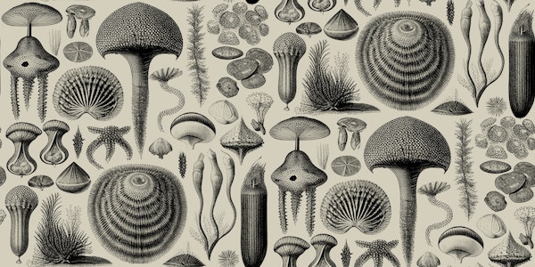 Woodland Elements - Black & Sand