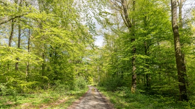 Wandgemälde