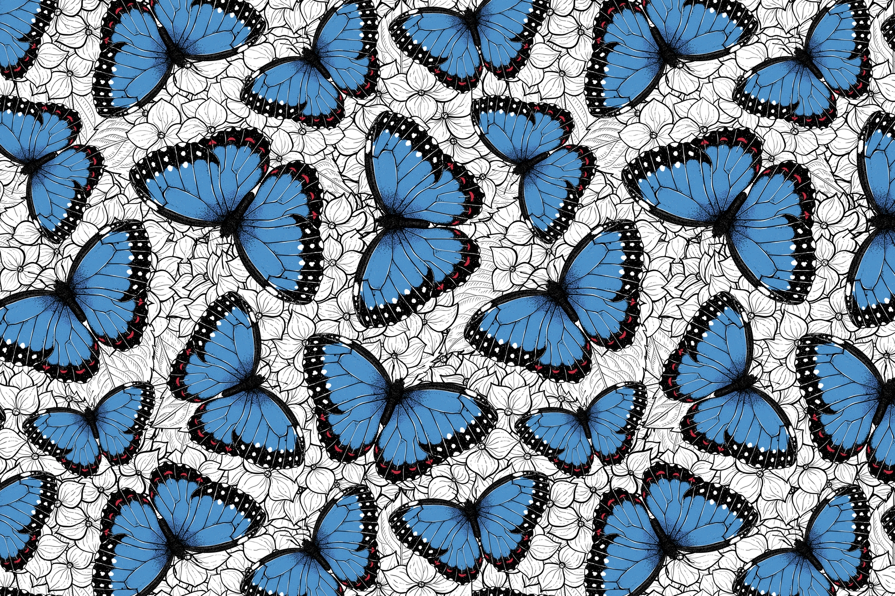 Бабочки арт Морфо обои