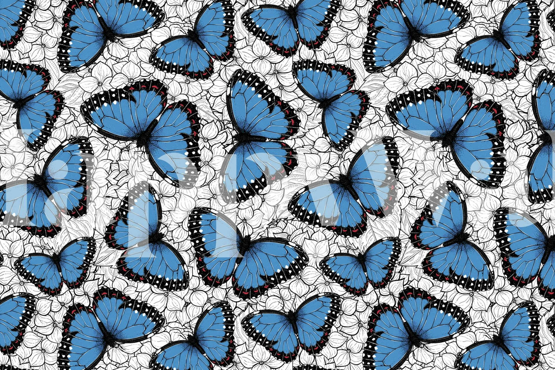 Blue Morpho Butterflies wallpaper in a room