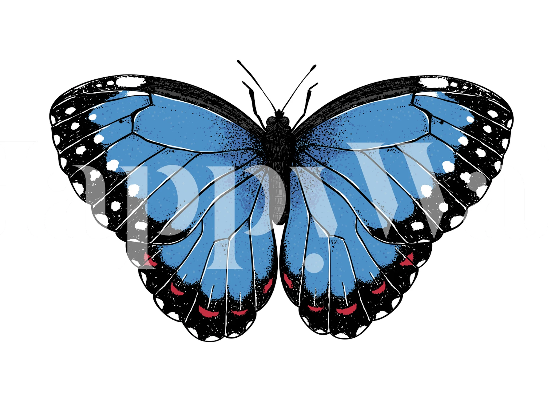 Blue morpho butterfly illustration on white background wallpaper