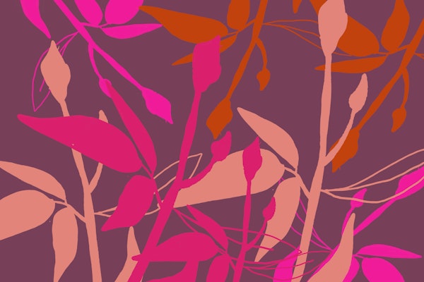 Pink California Flowers