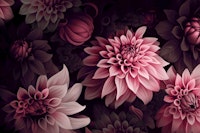 Opulent Moody Dahlia Flowers Mauve Pink wallpaper