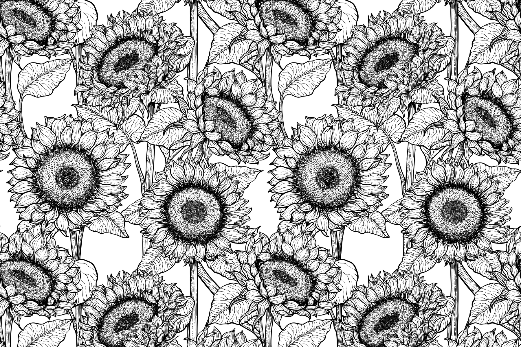 Sunflowers in Black and White Wallpaper Buy Online Happywall
