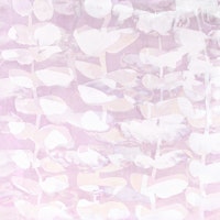 floralesque rosato papel pintado