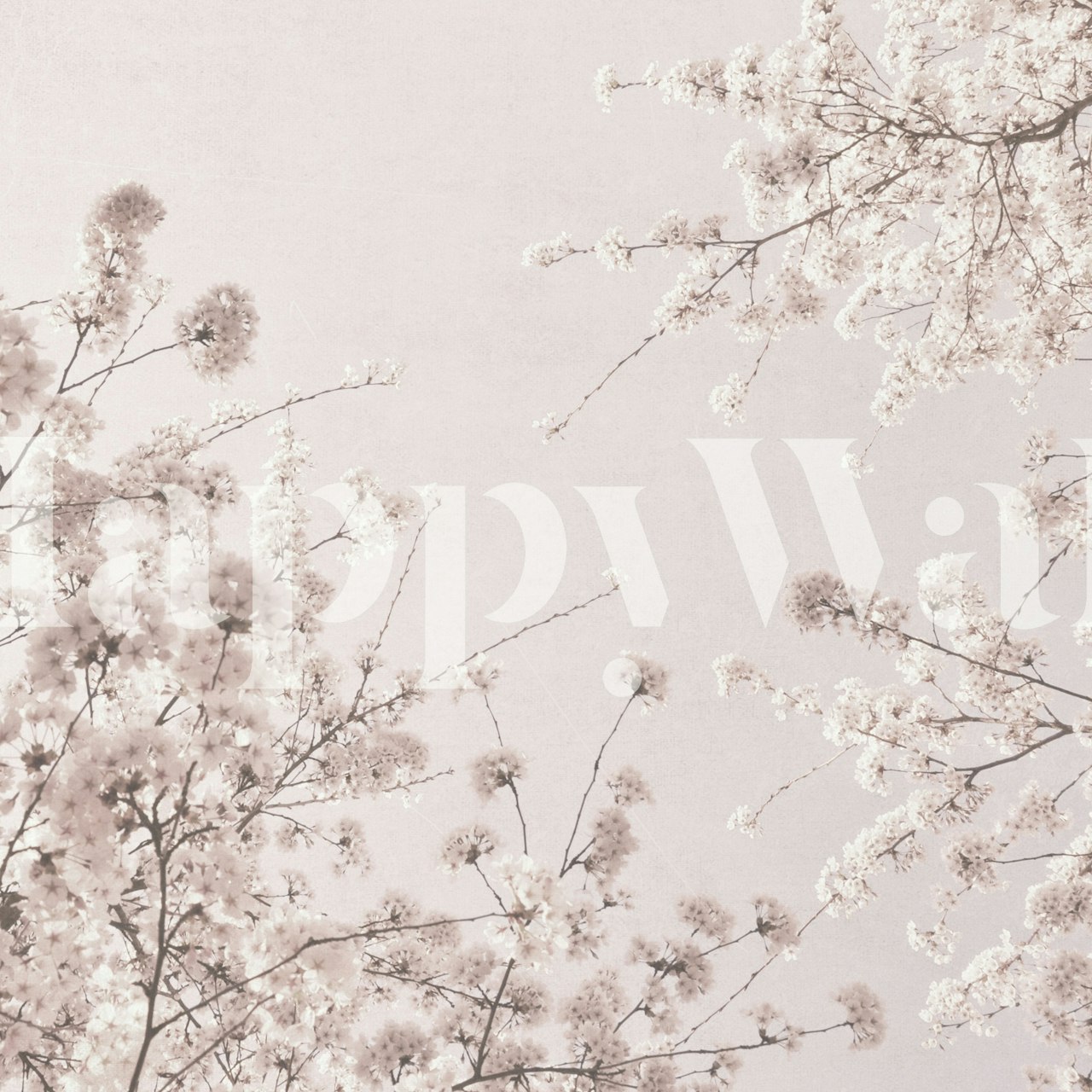 Soft spring tapet med blommönster