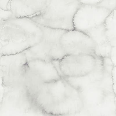 Τοιχογραφία