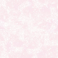 Blush Plaster papiers peint